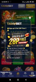 <strong><a href="https://plus7777.cc/">Plus777 Apk</a></strong>, - 3